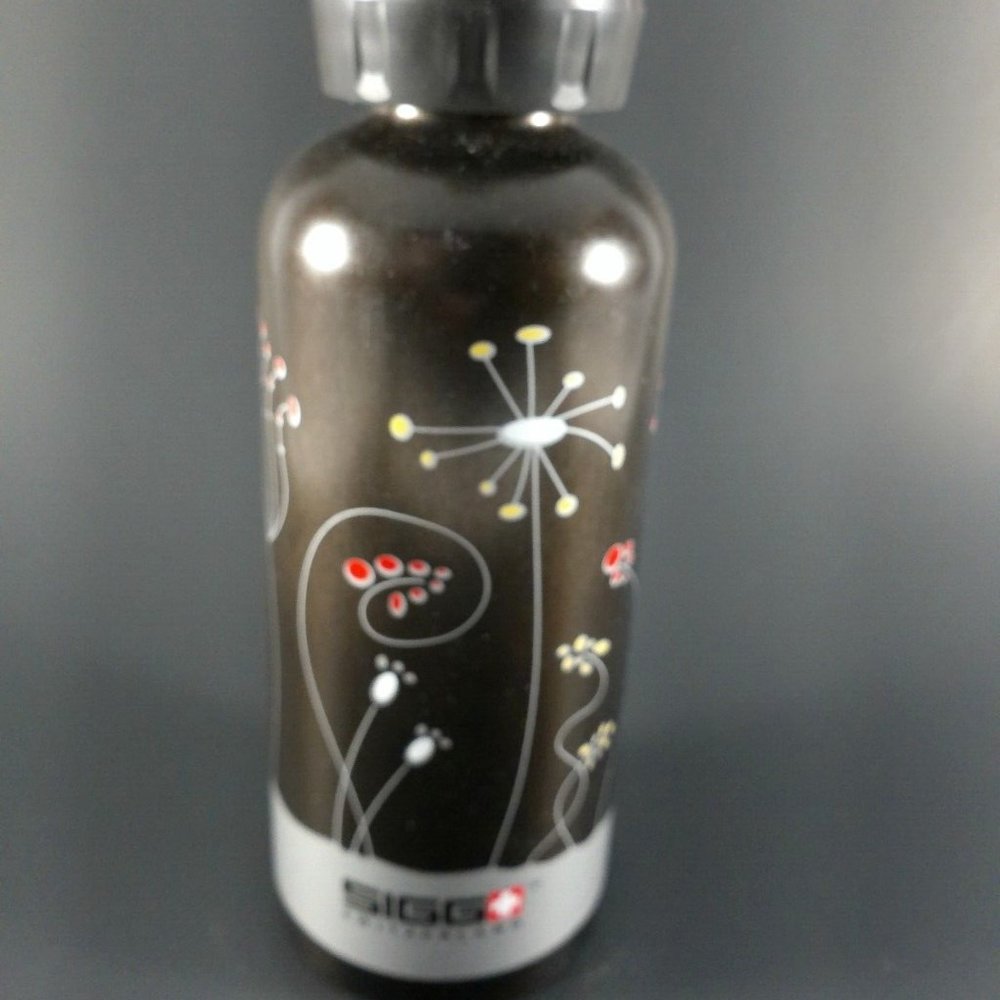 Sigg Switzerland Water Bottle